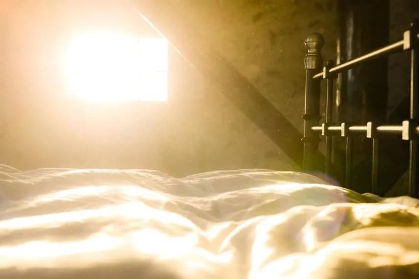 Study Finds Daytime Habit Boosts Sleep
