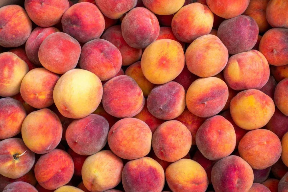 Peaches: 6 health benefits