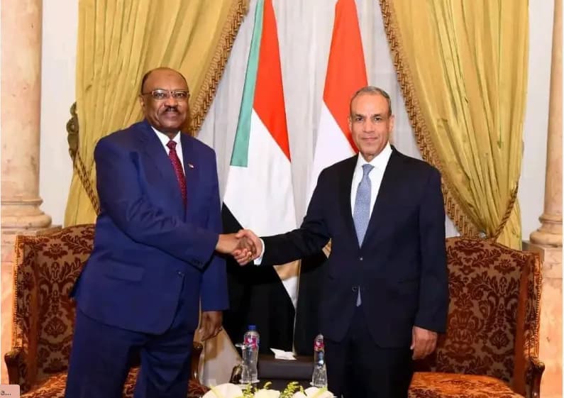 مصر تؤكد على وحدة السودان في تسوية سياسية