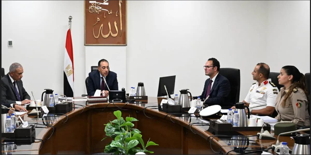 Egypt aims for balanced stray dog control