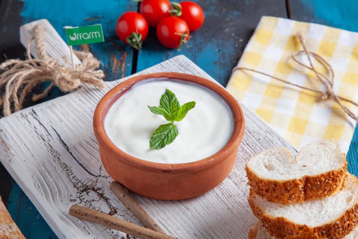 تسعة أطعمة مخمرة لتعزيز صحة الأمعاء
