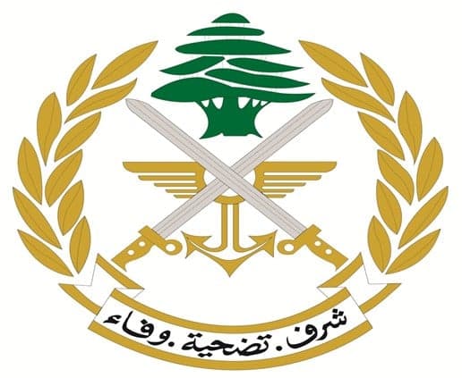 Army rescues hostage in Amchit