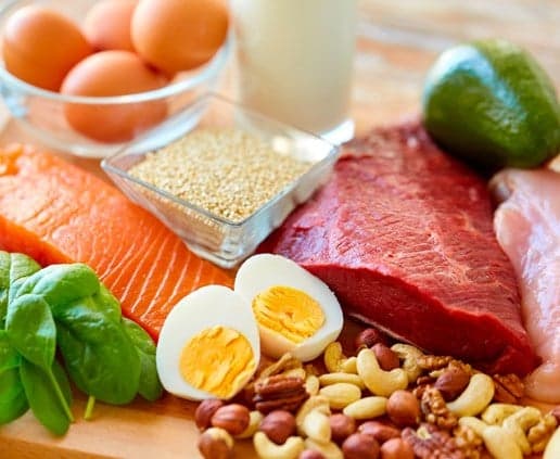 Excessive Protein Intake and Longevity