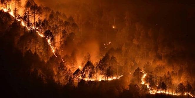 Europe Forest Fires Rising Intensity