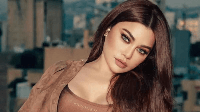 حكم على محمد وزيري في قضية غسل أموال هيفاء وهبي