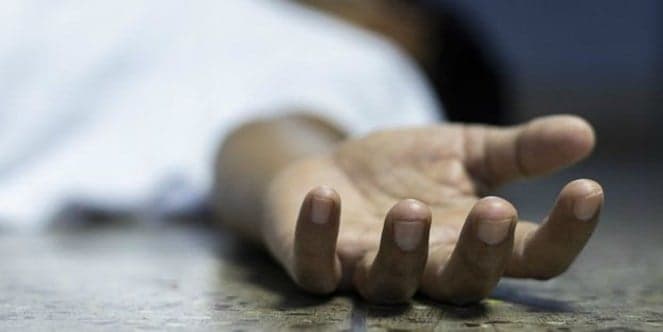 tayyar.org - Body Found in Olive Grove