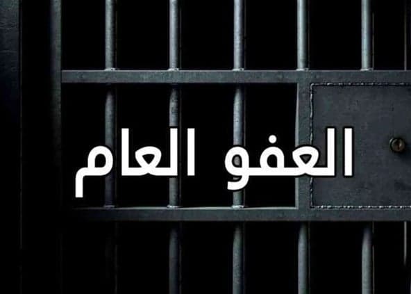 Western concerns over amnesty law