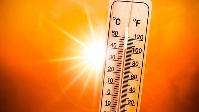 Temperature nears 40°C today