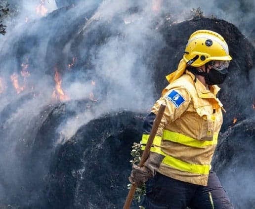 Severe Winds Impede Spain Wildfire Fight