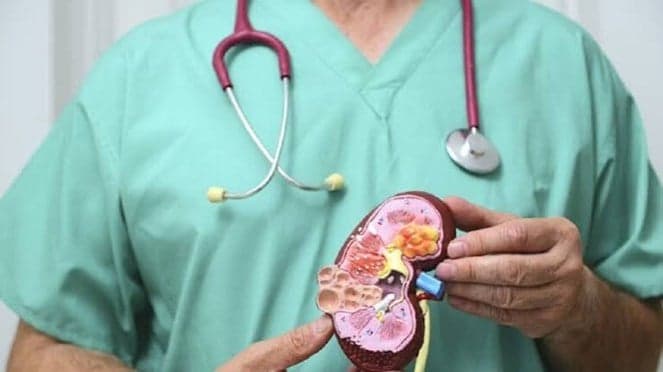 Experts identify top drink for kidney health