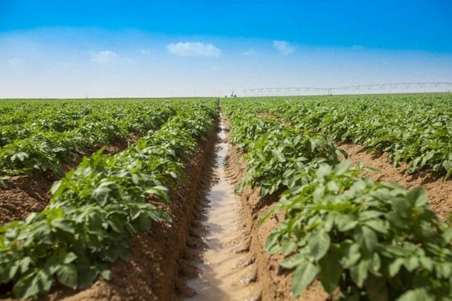 حادث مروع يودي بحياة رجل وولده داخل مزرعة