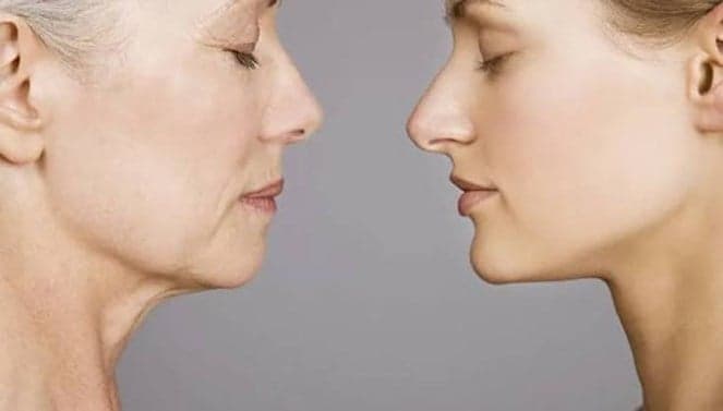 Study finds multiple diets can slow aging