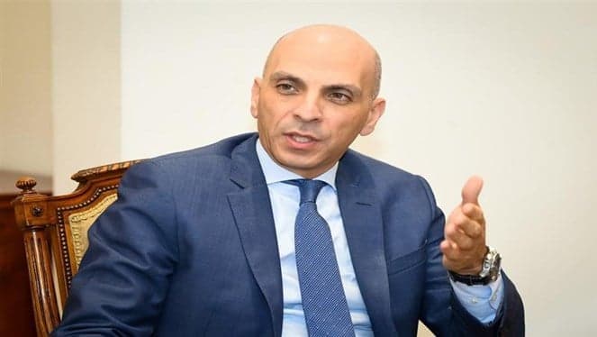 Egyptian ambassador with extensive experience