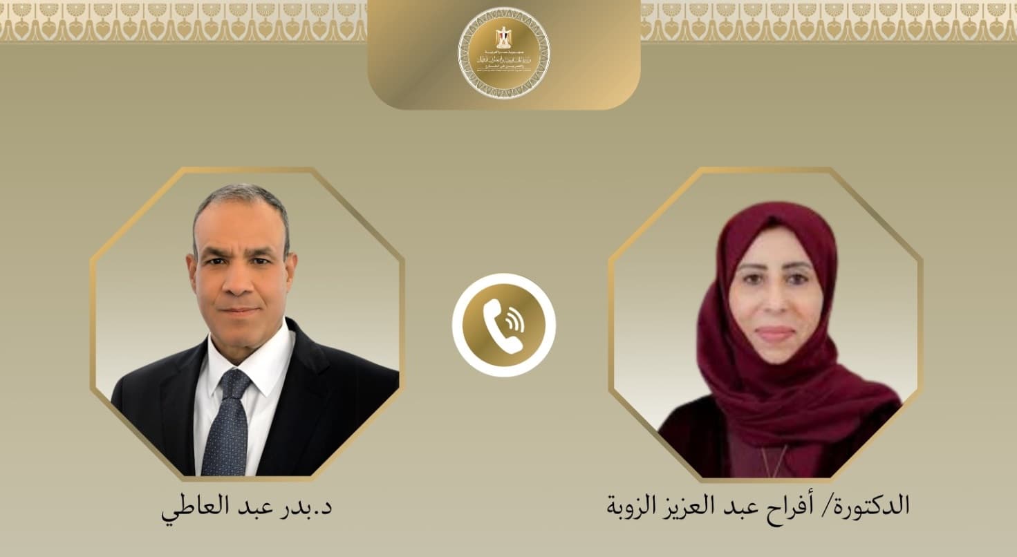 وزيرا خارجية مصر واليمن يدينان هجمات السعودية