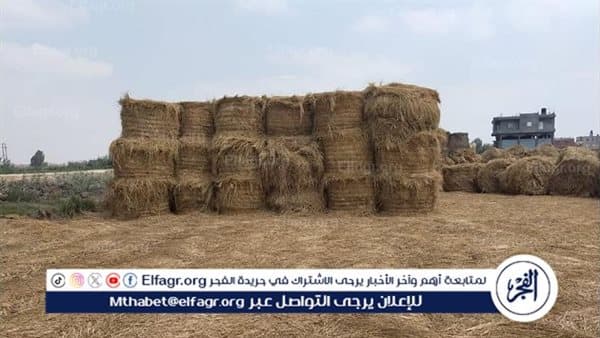 خبير يوضح أسباب السحابة السوداء