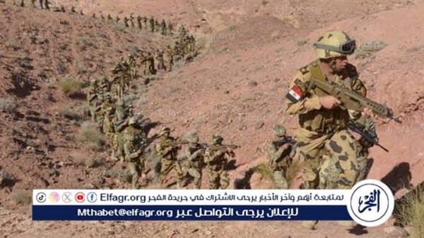 فلسفة الفن المصري القديم ودورها الدفاعي