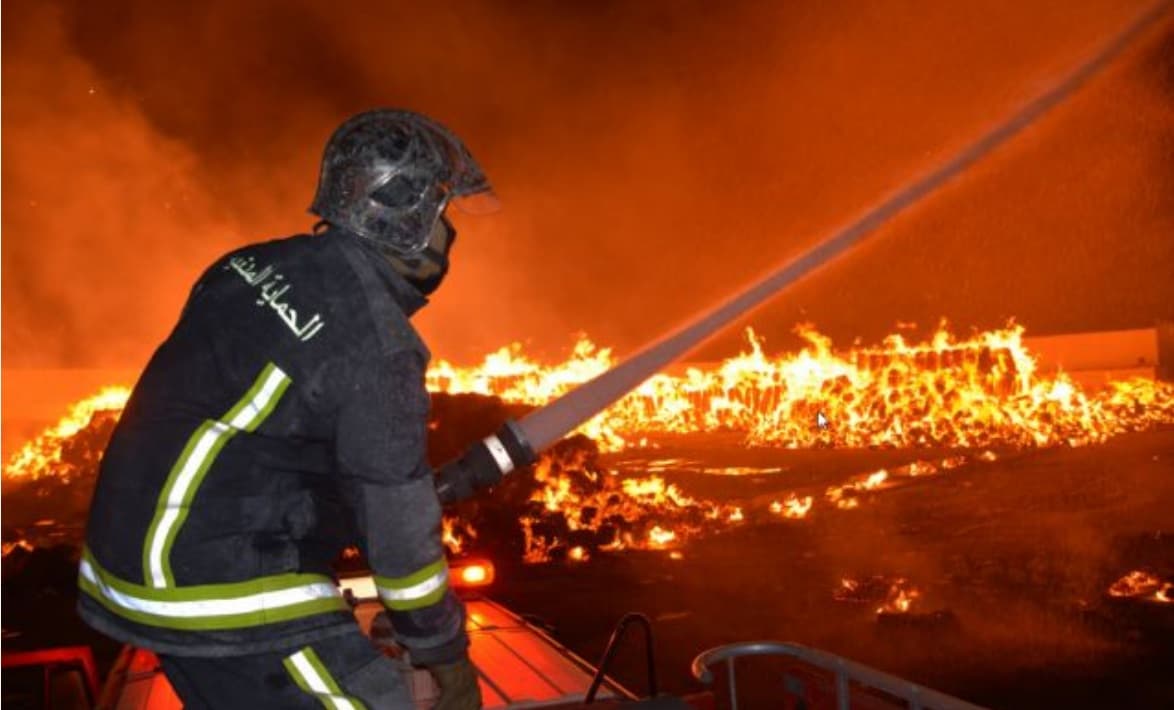 Greenpeace Warns of Extended Fire Season in Tunisia and Algeria
