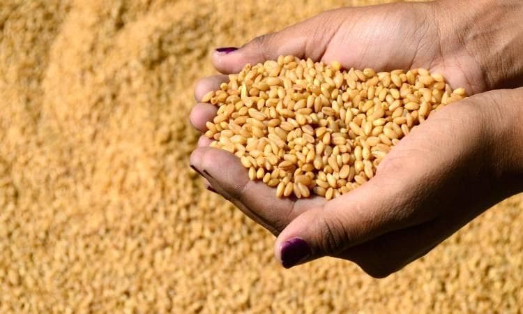 Tunisia Seeks 200K Tons of Grain