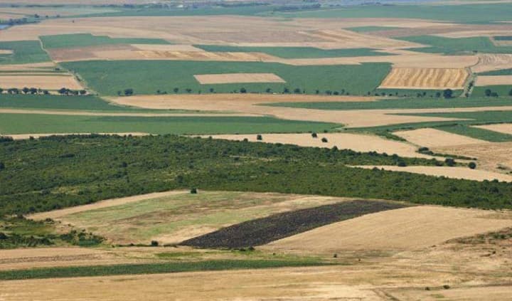 Tunisia and South Korea collaborate on smart farming