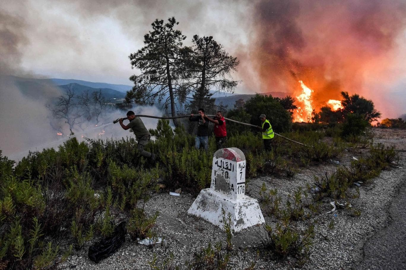 EU allocates 200,000 Euros for Tunisian fire victims