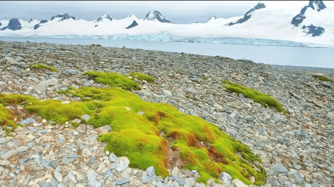 Tunisia Scientists Concerned by Environmentalists