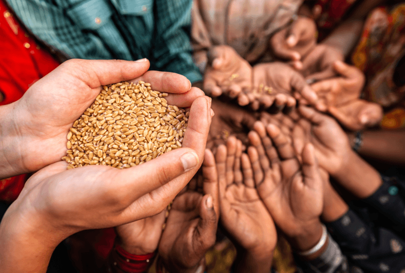 Tunisia Outperforms Algeria and Libya in Hunger Index