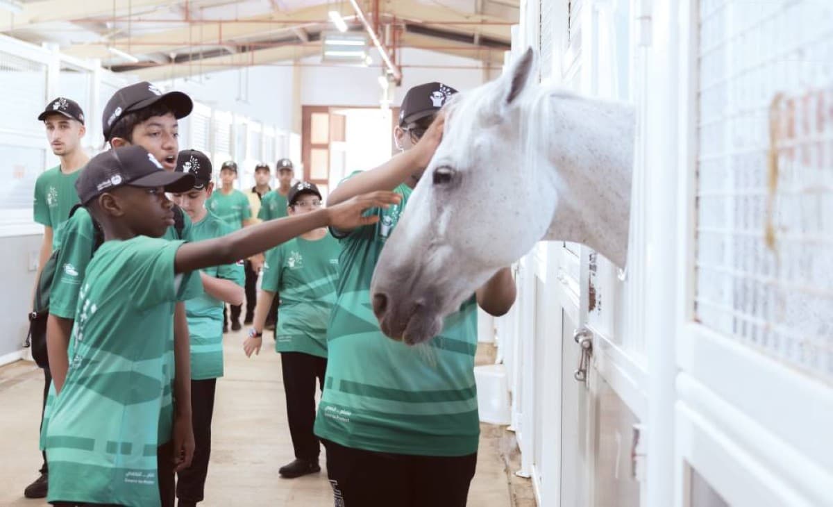 The Promising Knight Boosts Heritage