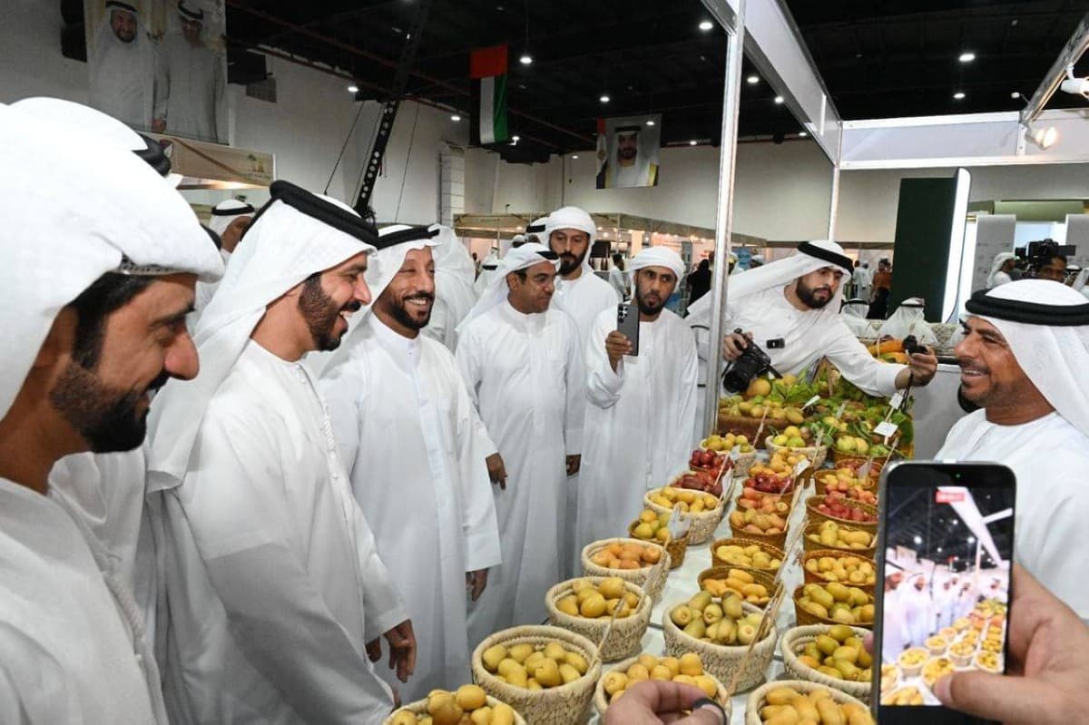 Zayed Dates Festival 2026 Begins