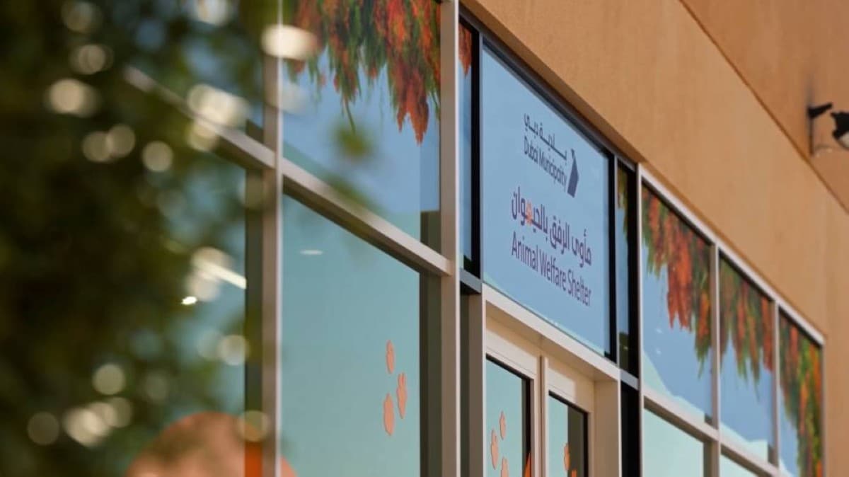 بلدية دبي تدشن مأوى للحيوانات في ورسان