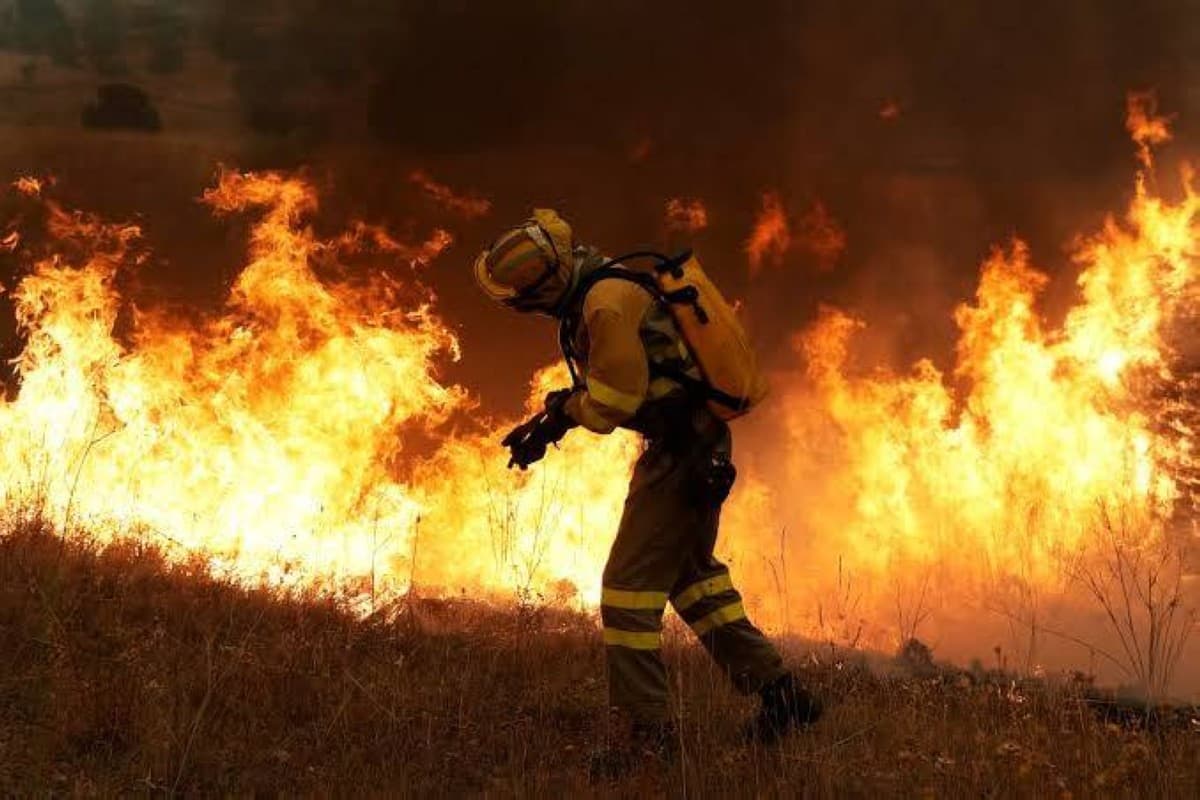 Who Causes Europe's Fires
