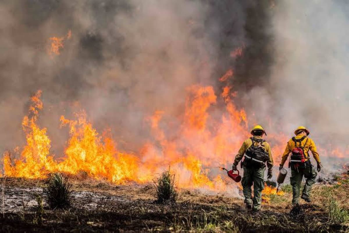 Washington wildfires burn over 250,000 acres