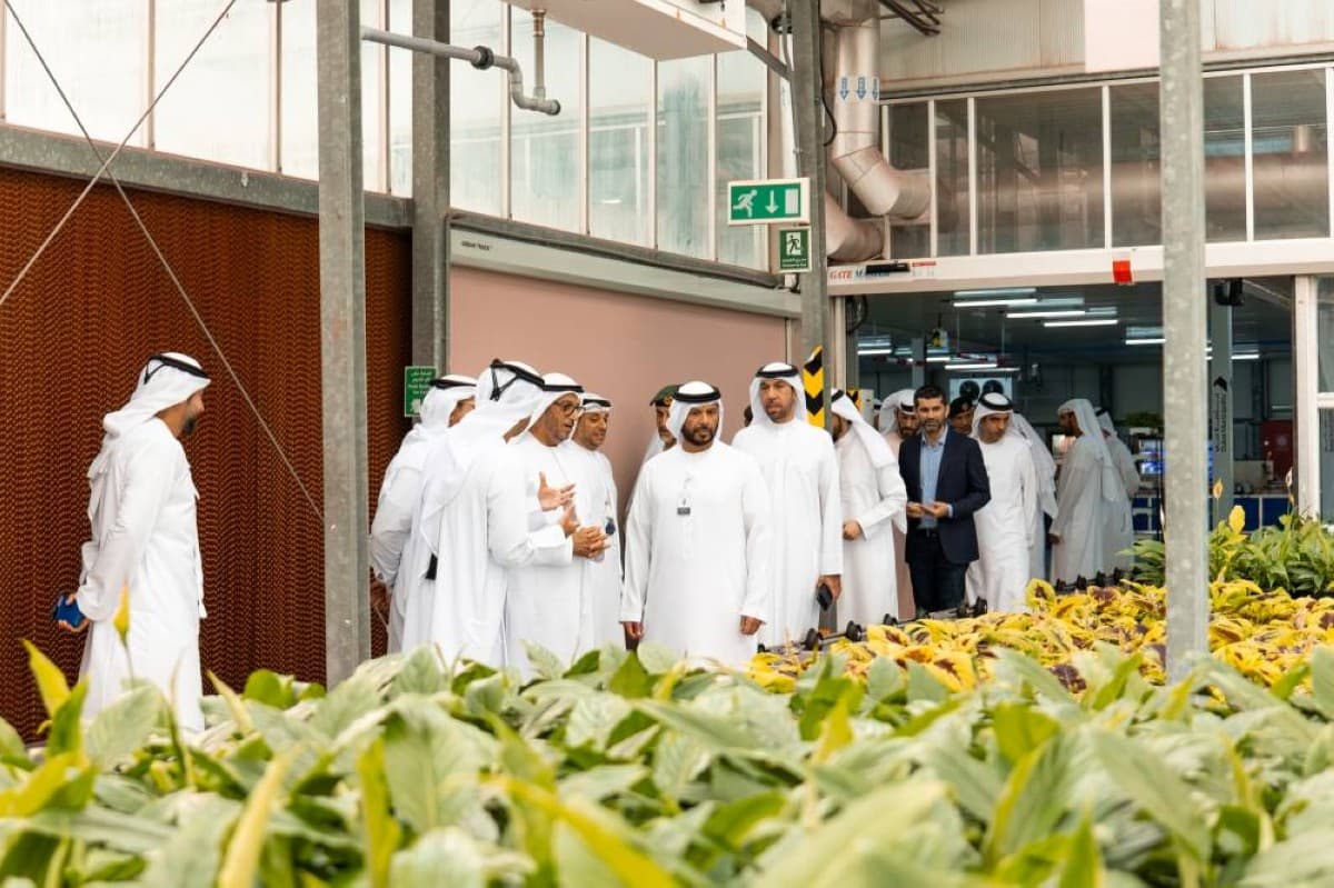 دبي تبدأ مبادرة مزارع الفريج للزراعة المنزلية