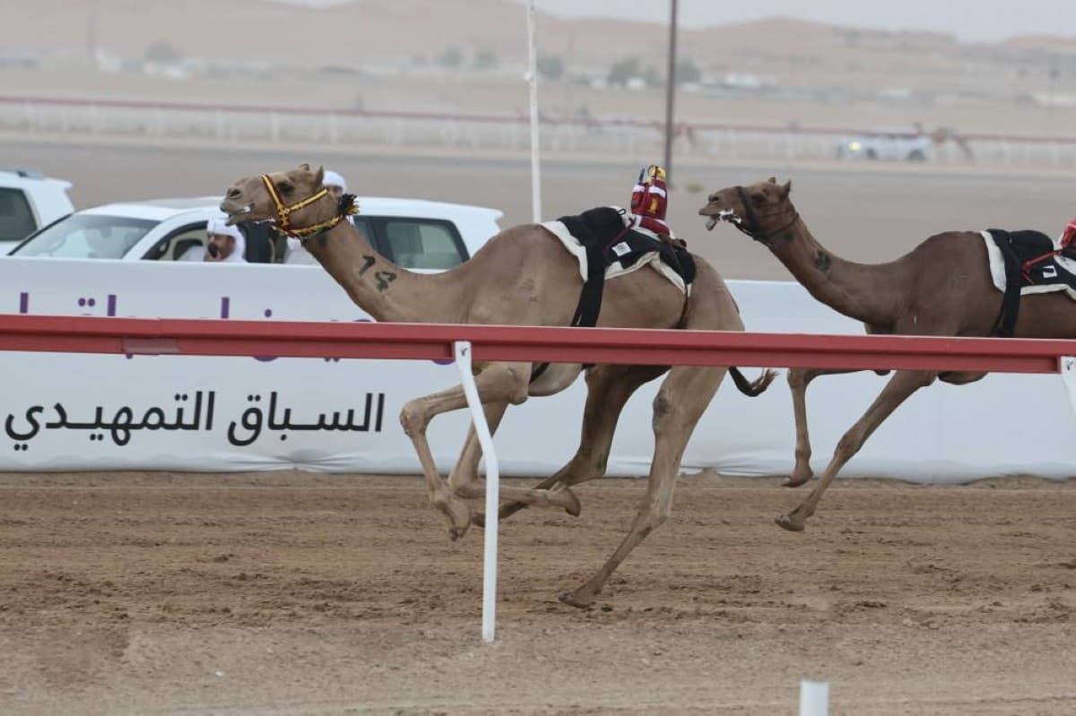 «فرح» تتصدر شوط الإيذاع في مهرجان العين