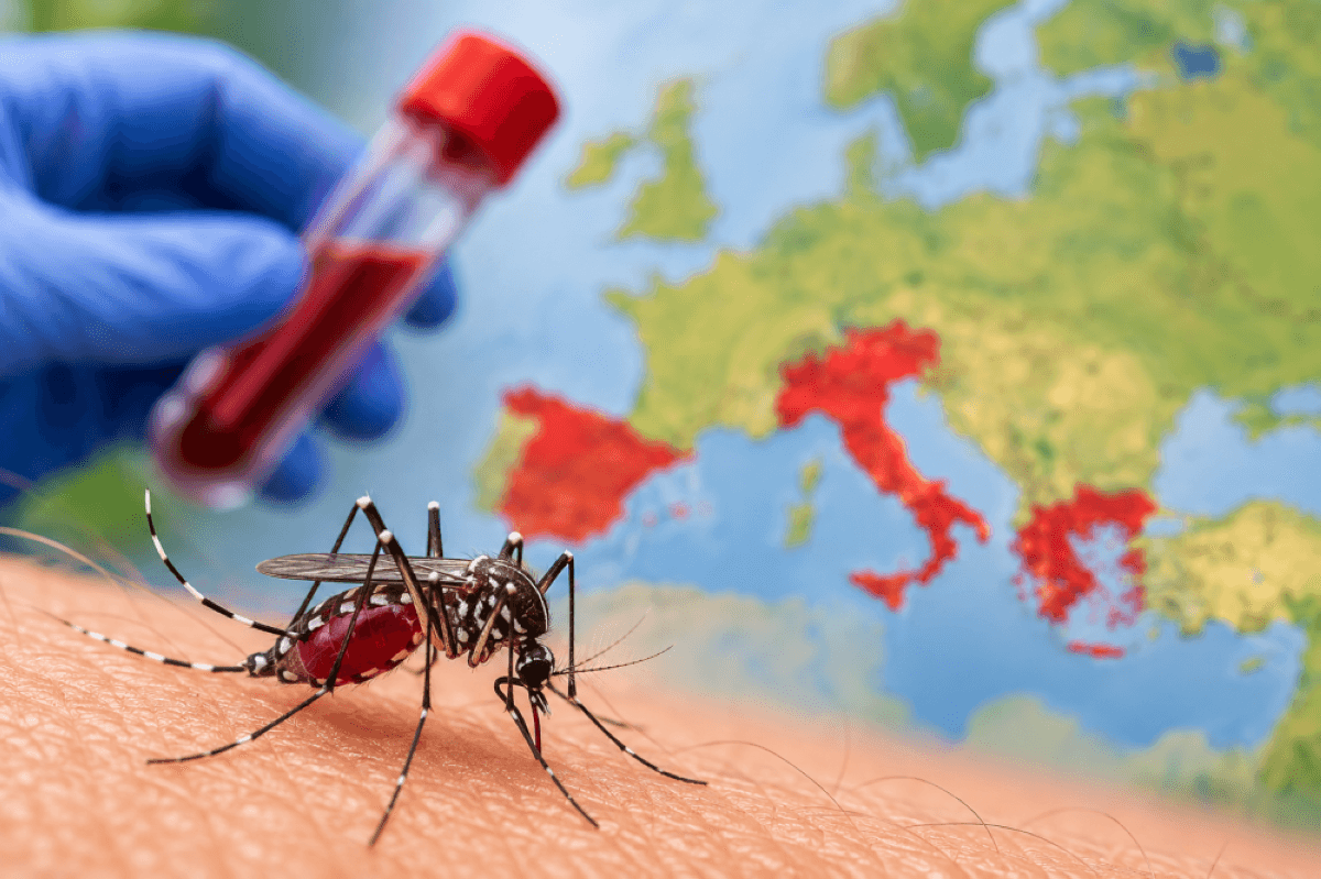 Over 240 cases of West Nile virus in Europe