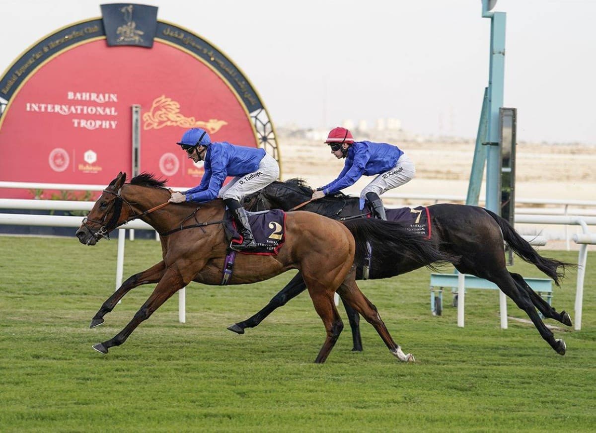 Tornado Alert and Dubai Future compete in Berlin