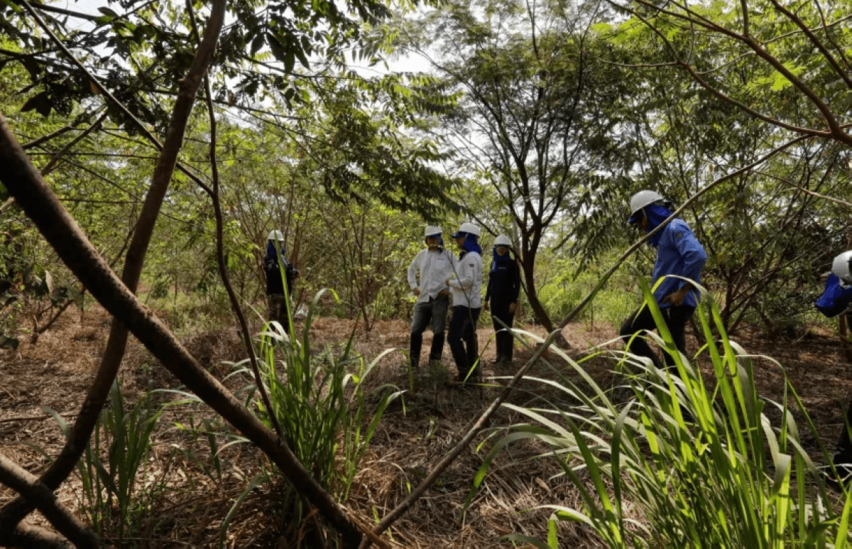 Amazon deforestation hits decade low