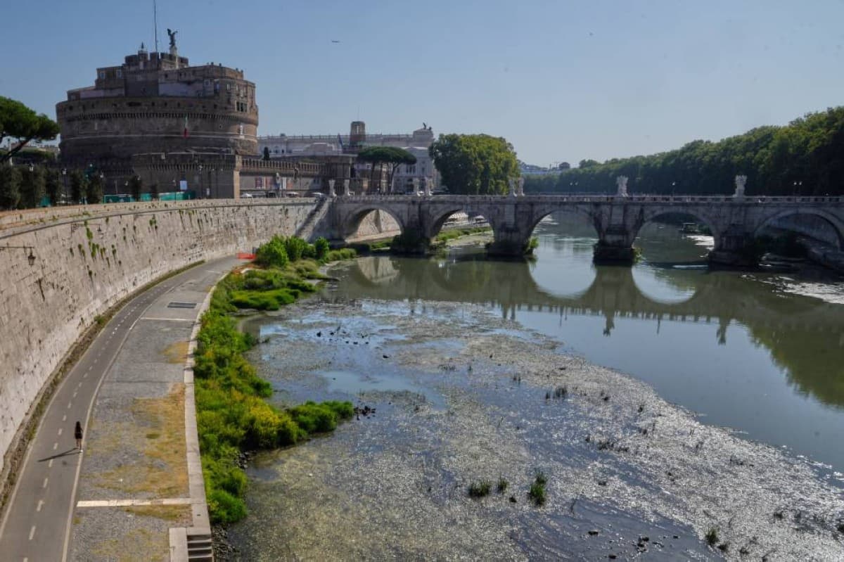 Record Summer Heat Becomes Ongoing Threat