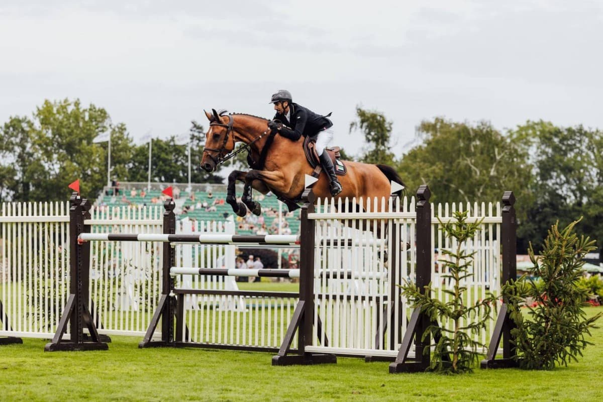 UAE Horses Undergo Vet Checks at World Equestrian
