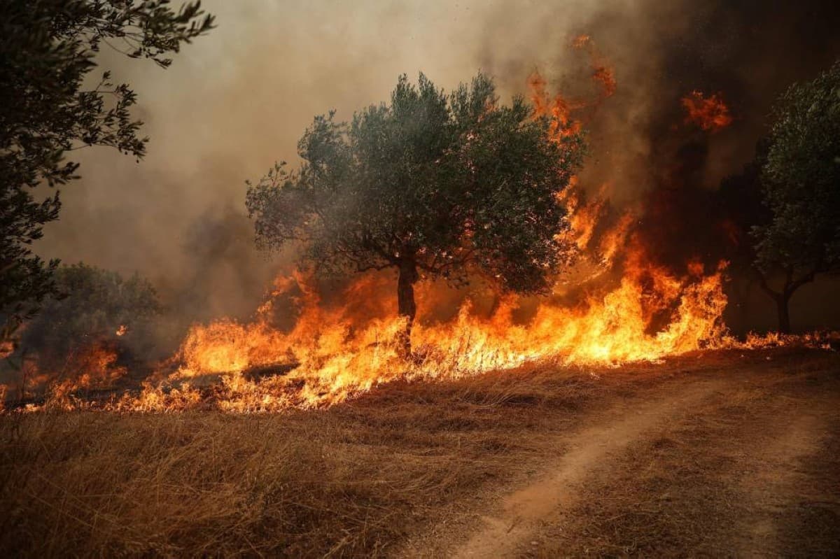 Belgian firefighters use fire lines after weather change