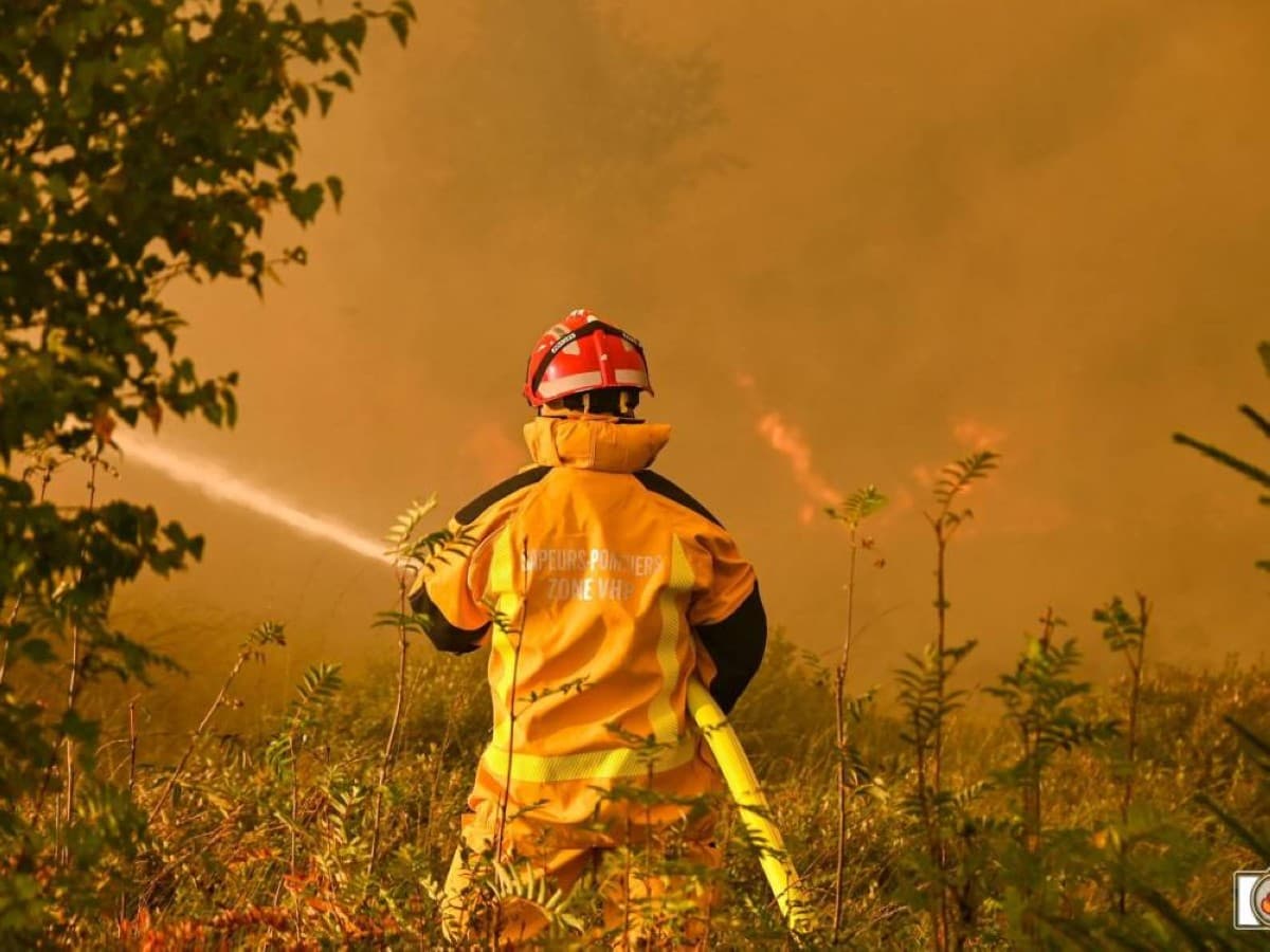 European forest fires may triple by 2100