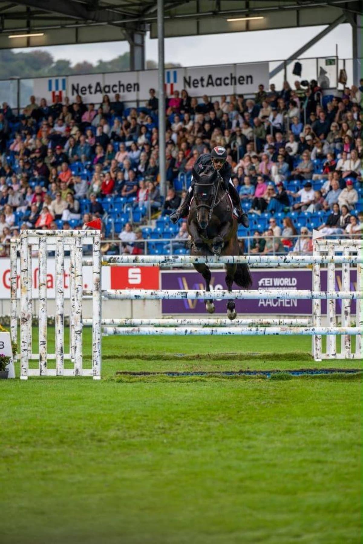 UAE team achieves success at Equestrian Championship