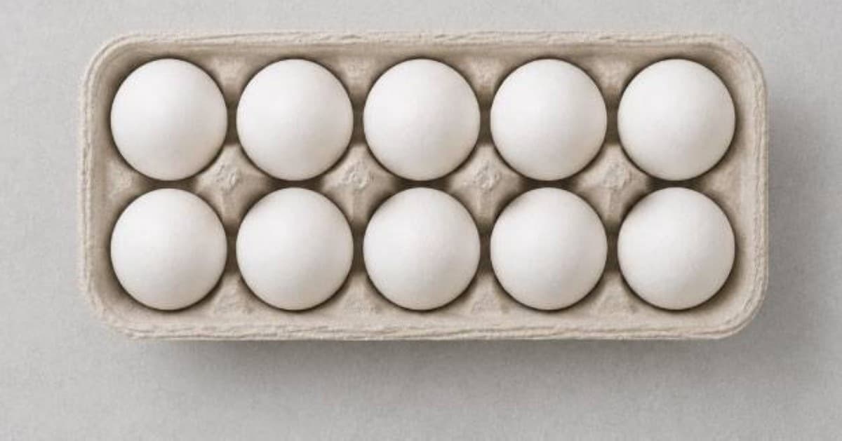 UAE markets avoid suspected salmonella eggs