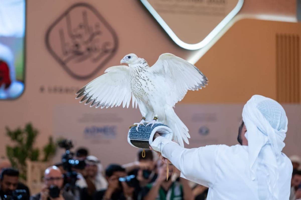 Hawk Sets Record with 2.1m Dirhams Sale