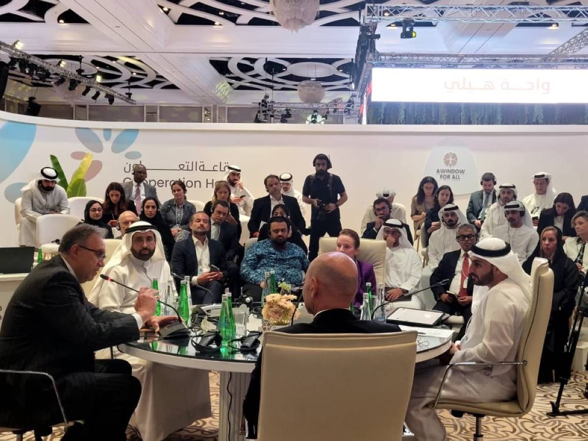 Helly participants commend UAE's energy security efforts