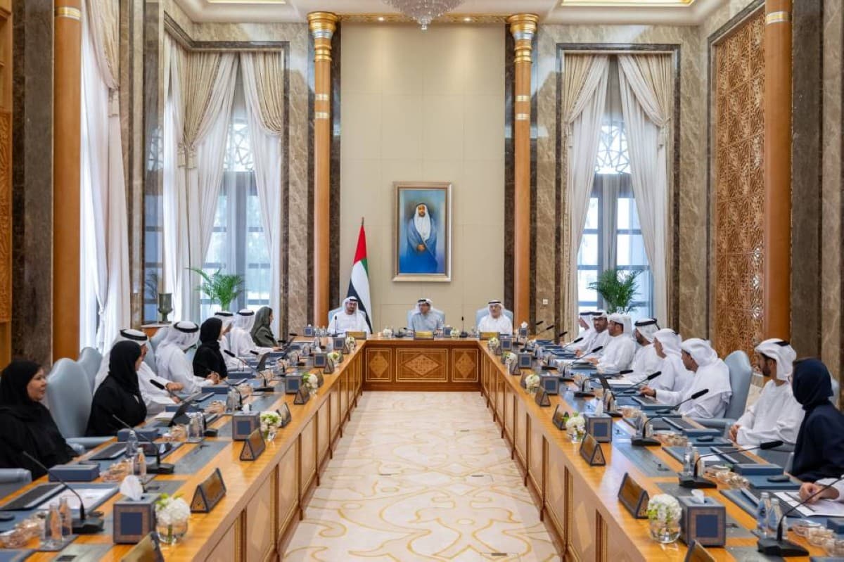 AI Cabinet reviews project phase two
