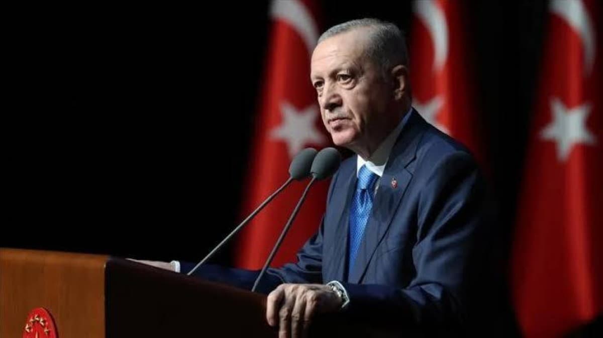 أردوغان يعلن ترشحه لانتخابات مبكرة