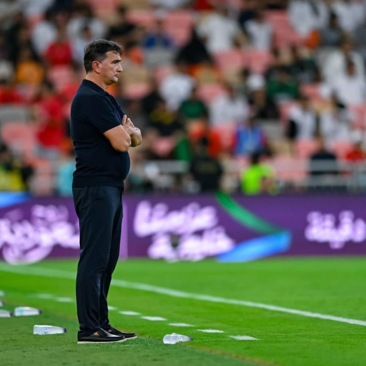 داليتش يصف جهود الإمارات بالخطوة الصغيرة