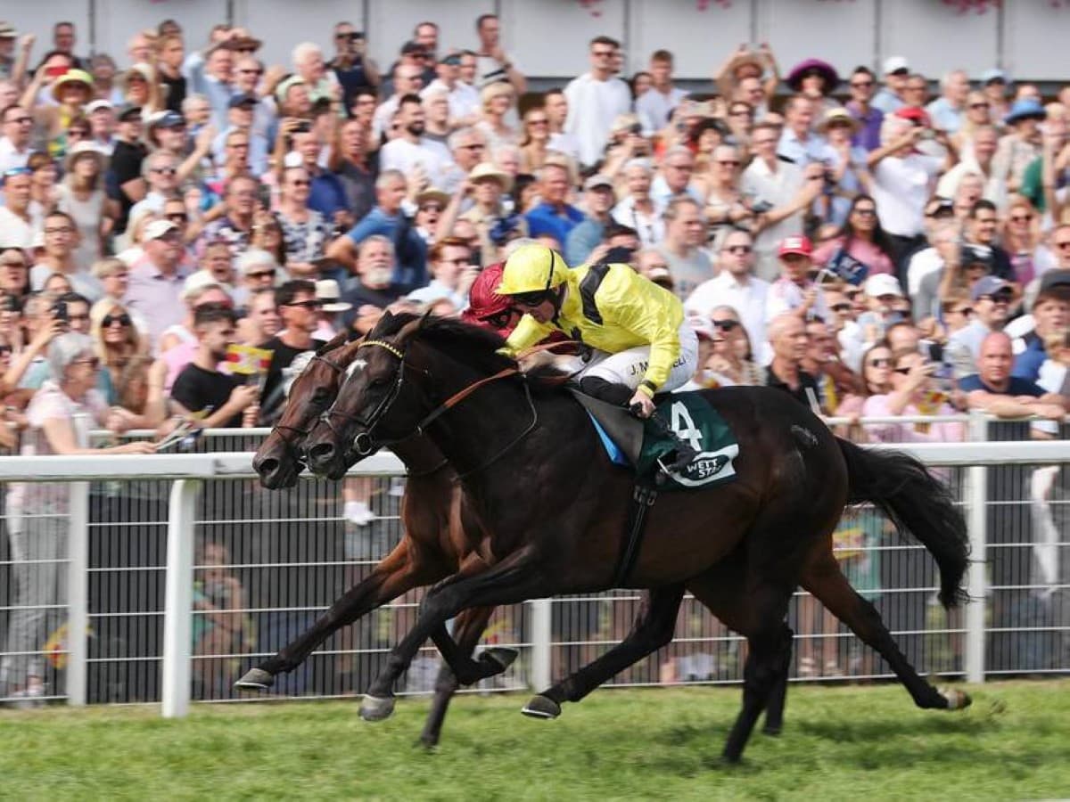 Ahmed bin Rashid's logo persists in horse racing