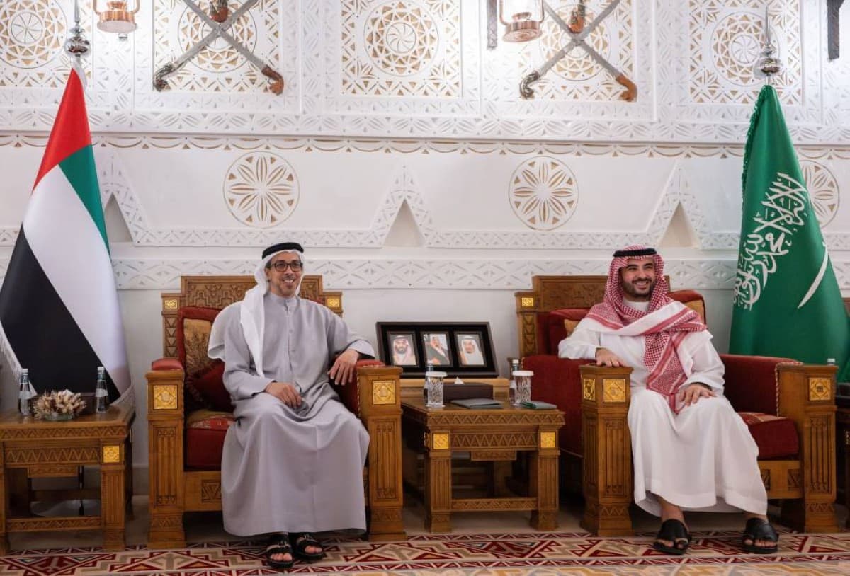 Mansour bin Zayed and Khalid bin Salman discuss relations in Riyadh