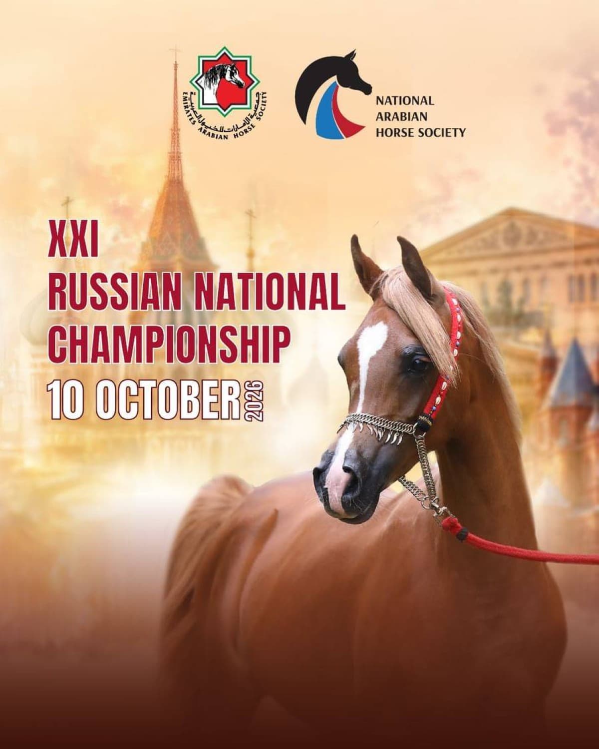 Emirati-Russian to Host Arabian Horse Championship